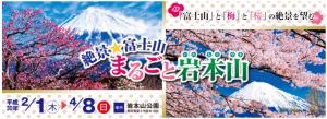 絶景☆富士山　まるごと岩本山　「春の市」イメージ